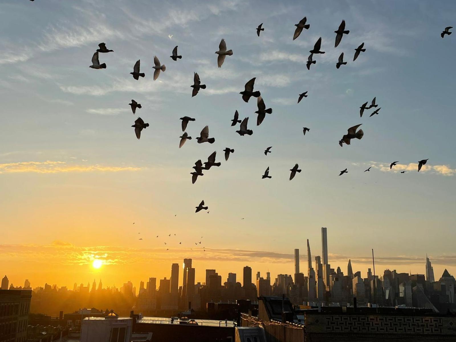 Ny Skyline One Of A Kind View Apartment Юниън Сити Екстериор снимка